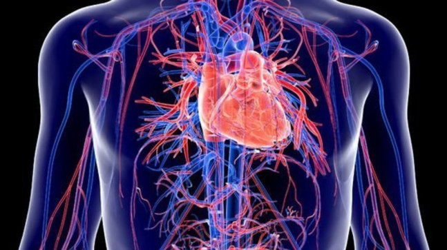 Uzmanlar mutlaka tüketin diyor! Kalp krizini önleyen 7 besin!
