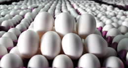 İşte Canan Karatay’ın önerdiği mucizevi gıdanın haşlama süresi