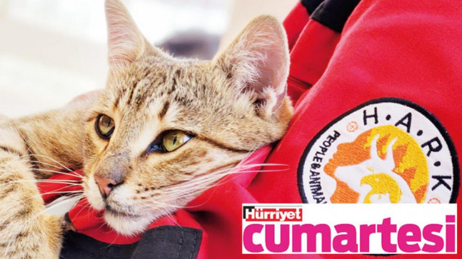 Bir anlık heves onlara da zarar