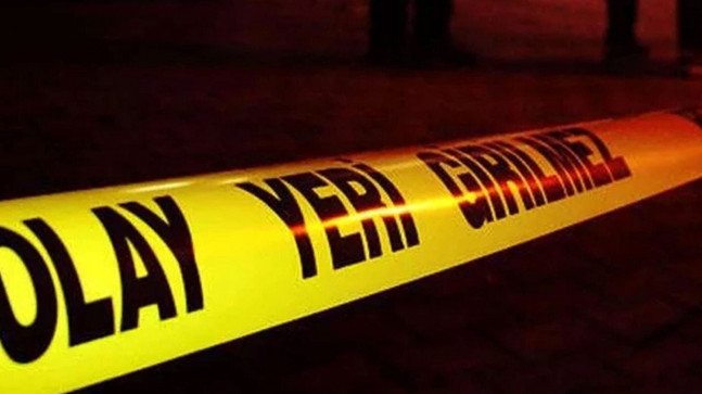 Diyarbakır’da bir kadın, geliniyle birlikte tacizine uğradığı adamı vurdu