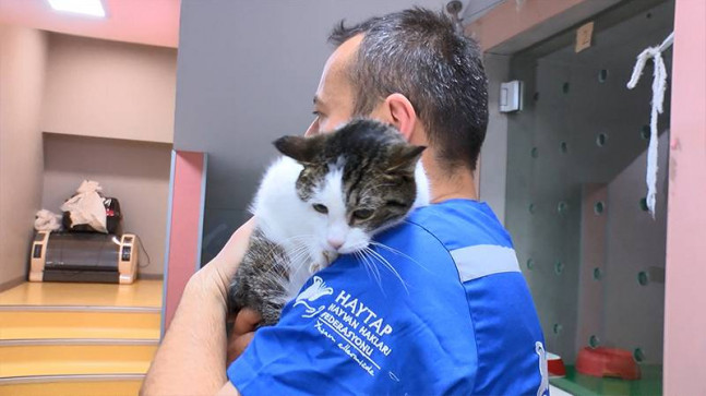 Enkazdan kurtarılan 100 evcil hayvan, Bursa’da tedavi altına alındı