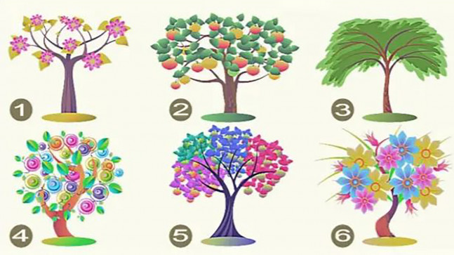 Size kim olduğunuzu söyleyen test: Seçtiğiniz ağaç sizi anlatıyor