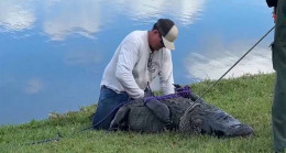 Timsah saldırısına uğrayan 85 yaşındaki kadın hayatını kaybetti