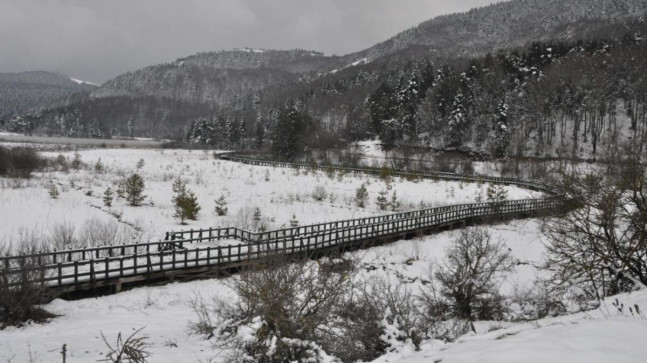 Kar yağışı yüzünü gösterdi! Abant Gölü’nde mart ayında kartpostallık görüntüler oluştu