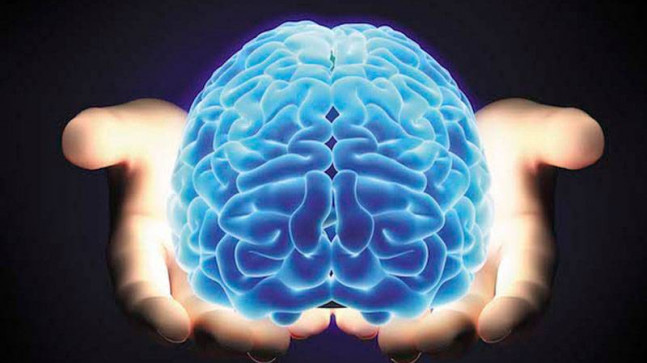 Beyin yapısı ile politik tercihler arasında ilişki olabilir