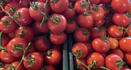Domates ihracatına 14 Nisan'a kadar kısıtlama