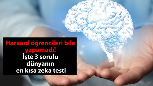 Harvard öğrencileri bile yapamadı! İşte 3 sorulu dünyanın en kısa zeka testi