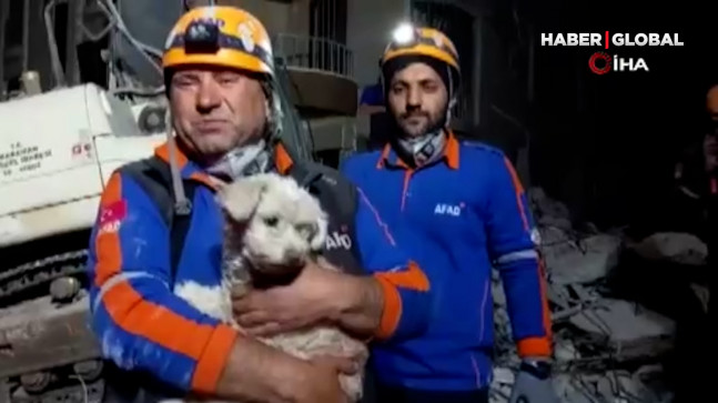 Hatay’da 25 gün sonra bir köpek enkaz altından sağ kurtarıldı