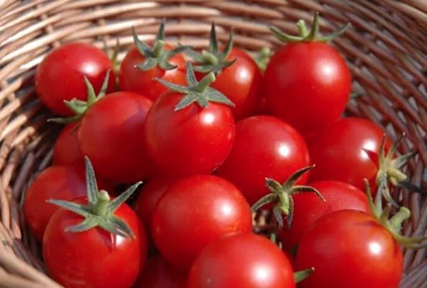 Buzdolabına koymadan önce bir kez daha düşünün! Korumak yerine zehre dönüşmesine sebep oluyorsunuz