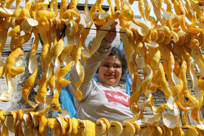 Adana'da atıl limonları ekonomiye kazandırıyorlar