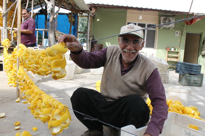 Adana'da atıl limonları ekonomiye kazandırıyorlar