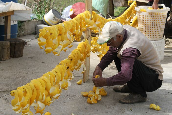 Adana'da atıl limonları ekonomiye kazandırıyorlar