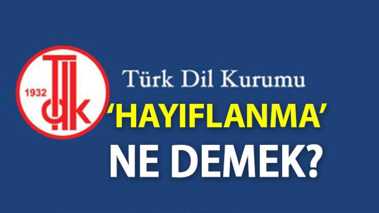 Hayıflanma Ne Demek? TDK'ya Göre Hayıflanma Kelime Anlamı Nedir, Nasıl Kullanılır?